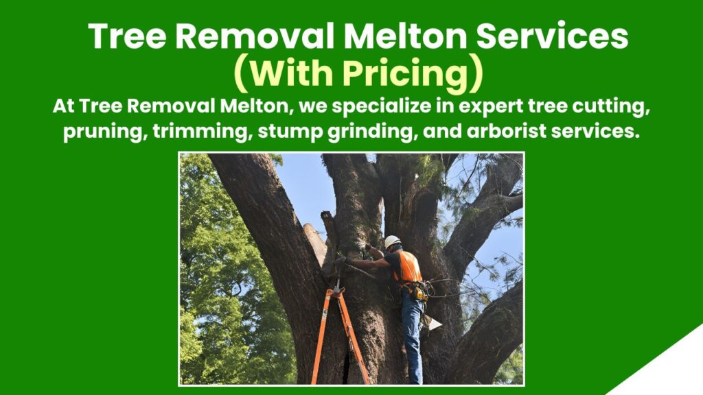 Tree Removal Melton